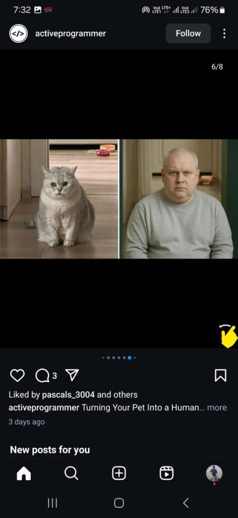 pet to human